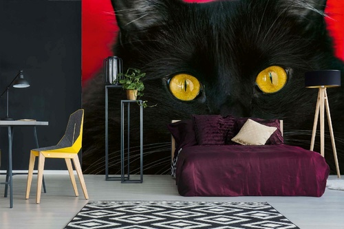 Vlies Fototapete - Schwarze Katze 375 x 250 cm